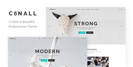 Conall 2.4 – A Clean & Beautiful Multipurpose Theme