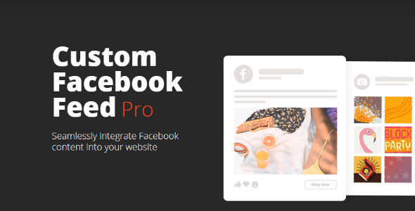 Instagram Feed Pro 6.4 NULLED