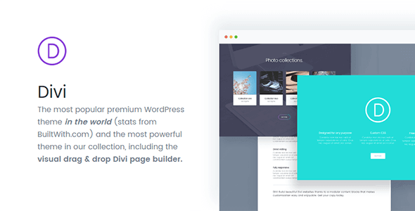 divi-new divi-new