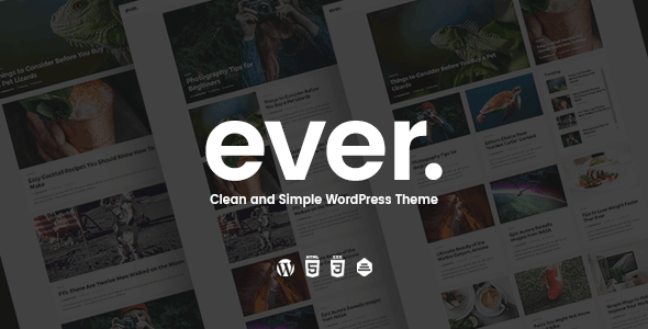 Ever 1.2.3 – Clean and Simple WordPress Theme