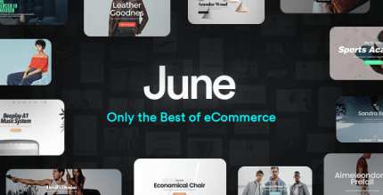 June 2.3 – Multi-Purpose Responsive WooCommerce Theme