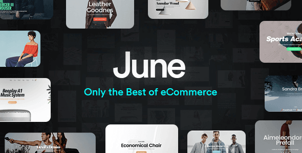 June 2.3 – Multi-Purpose Responsive WooCommerce Theme