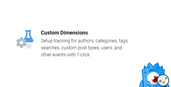MonsterInsights Custom Dimensions Addon 2.1.1