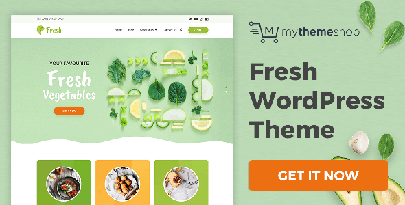Fresh 1.1.1 – Refreshing New Look for Health Bloggers and Recipes