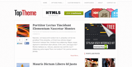 Top 1.2.1 – Perfect WordPress Theme for Bloggers