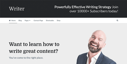 Writer 1.2.12 – Professional WordPress Theme for Writers