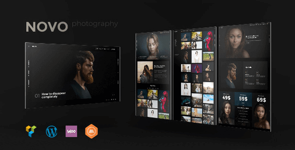 Novo 4.2.6 NULLED – Photography WordPress for Photography