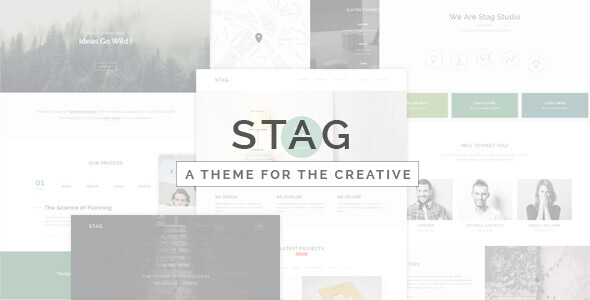 Stag 1.8.5 – Portfolio Theme for Freelancers and Agencies