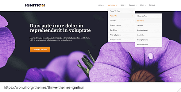Thrive Themes Ignition 2.11.1 NULLED