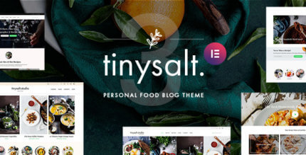 TinySalt 3.4.0 – Personal Food Blog WordPress Theme