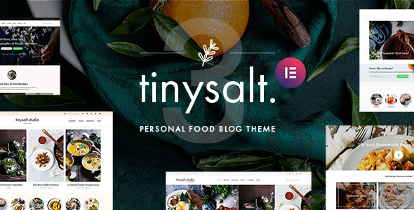 TinySalt 3.4.0 – Personal Food Blog WordPress Theme