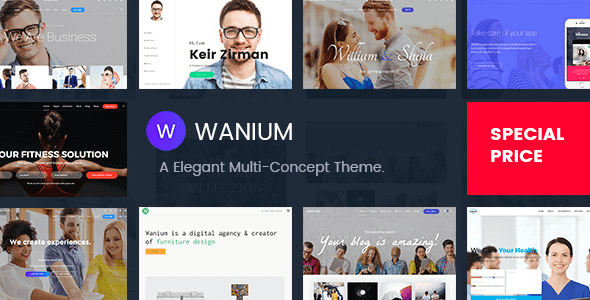 Wanium 1.9.1 – A Elegant Multi-Concept Theme